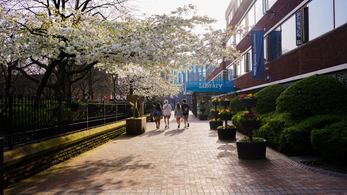 一群學生在陽光燦爛的日子裏走過校園圖書館